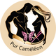 Pur Caméléon